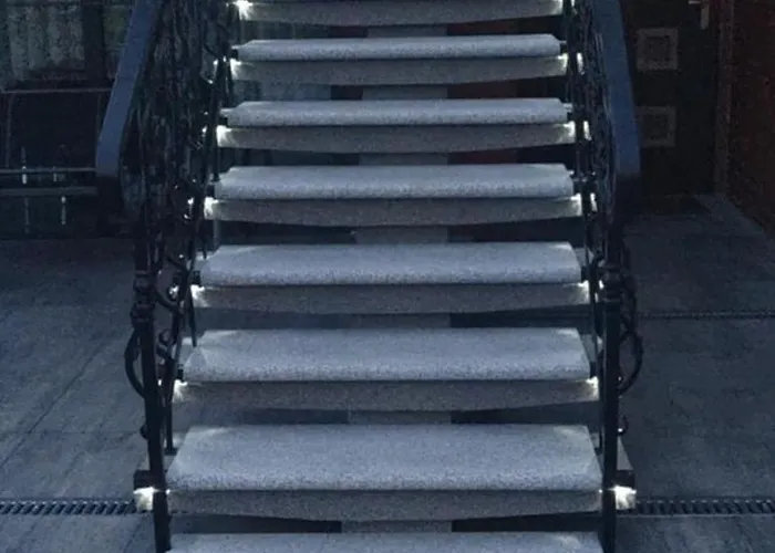 Selavi Проживание в семье *