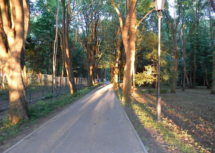 Проживание в семье Selavi *