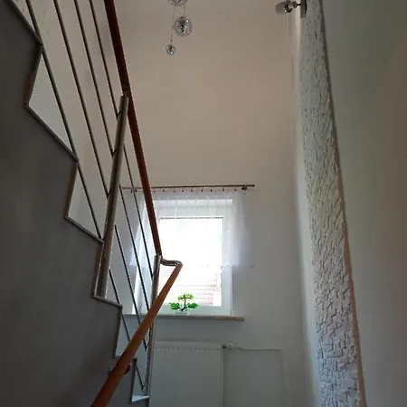 Selavi Kołobrzeg